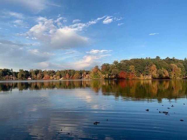 80 Populatic St, Franklin, MA 02038 - water view with a heavily wooded area