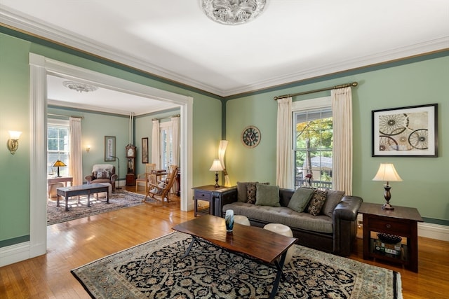 living room with wood-type flooring and crown molding