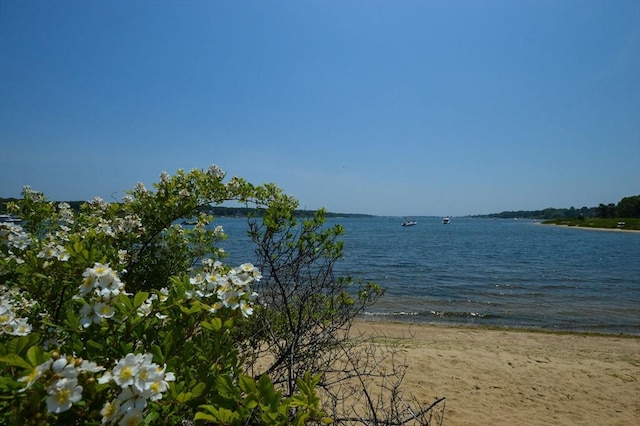 110 Teaticket Path, Falmouth, MA 02536 - water view