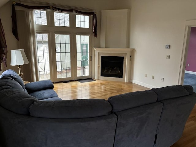 living room with hardwood / wood-style floors