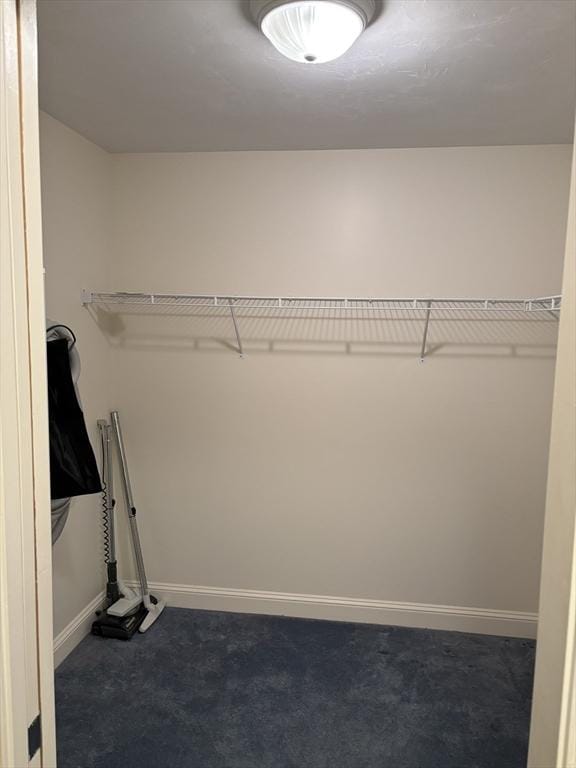 spacious closet with dark colored carpet