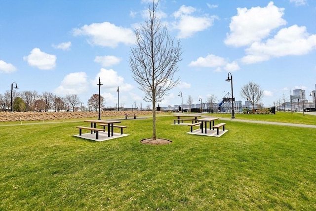 view of community with a yard