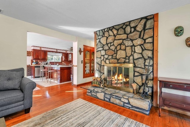 living room with a fireplace and light hardwood / wood-style flooring