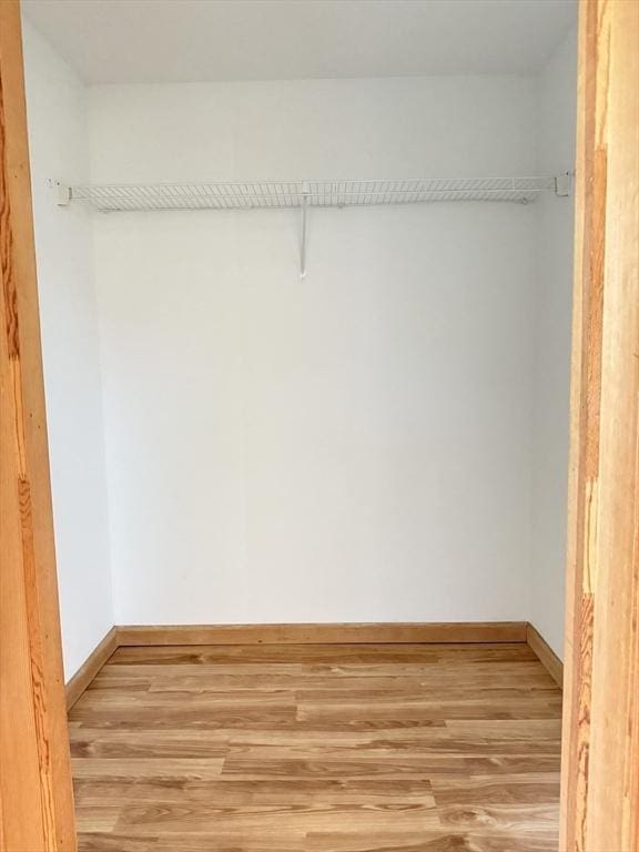 3 Teal Cir, Fairhaven, MA 02719 - walk in closet featuring light wood finished floors