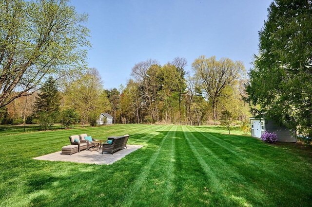 view of yard with a storage shed, a patio, and an outbuilding