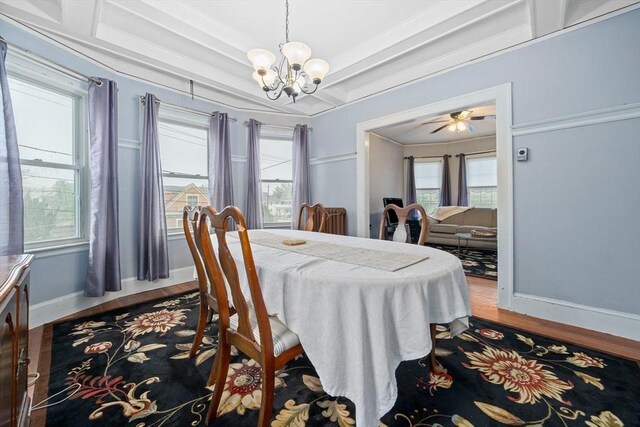 dining area featuring a chandelier, wood finished floors, baseboards, and healthy amount of natural light