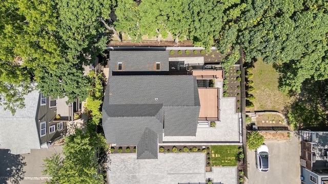 216 Aspinwall Ave, Brookline, MA 02446 - view of property location