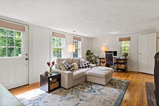 330 Fairview Ave, Rehoboth, MA 02769 - living room featuring light wood finished floors and a textured ceiling