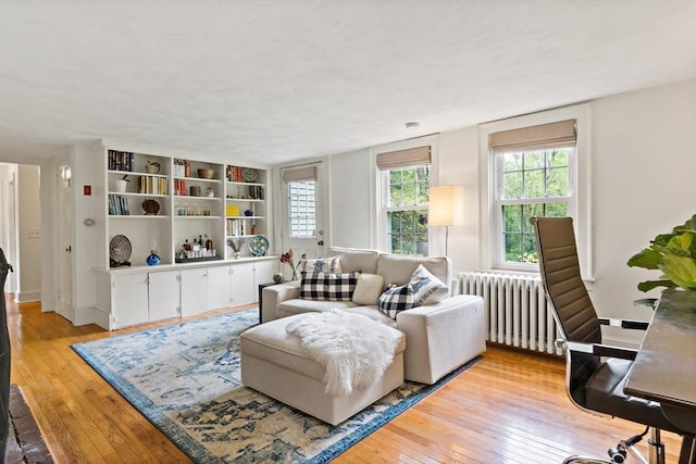 330 Fairview Ave, Rehoboth, MA 02769 - living area featuring radiator and light wood-style floors