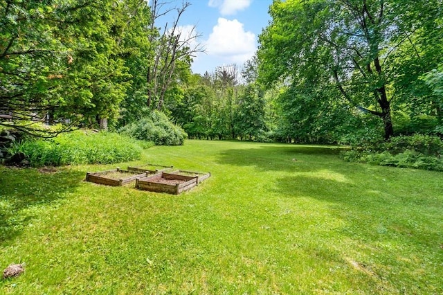 330 Fairview Ave, Rehoboth, MA 02769 - view of green lawn featuring a vegetable garden
