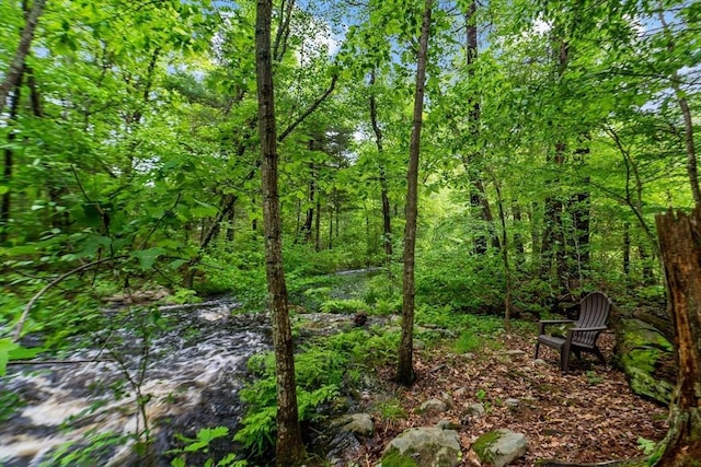330 Fairview Ave, Rehoboth, MA 02769 - view of nature