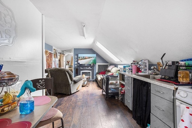 369-371 Mill St, New Bedford, MA 02740 - additional living space featuring dark wood-type flooring, vaulted ceiling, a skylight, and a sink