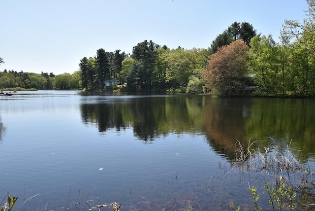 water view with a heavily wooded area