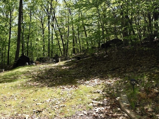 view of tree filled area