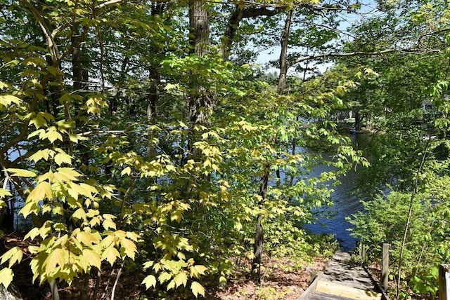 view of nature