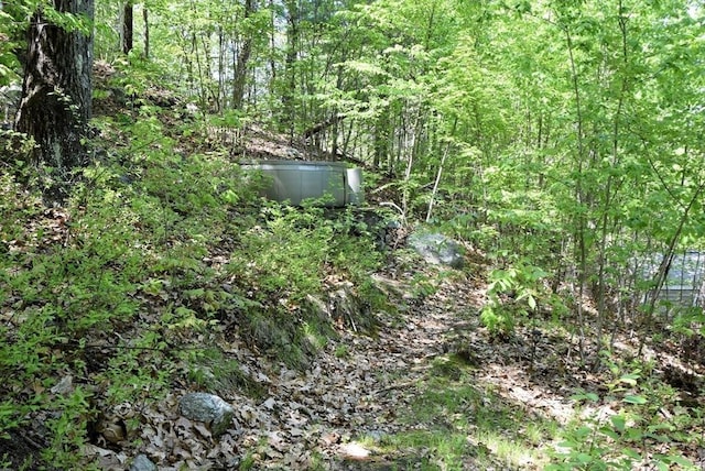 view of tree filled area