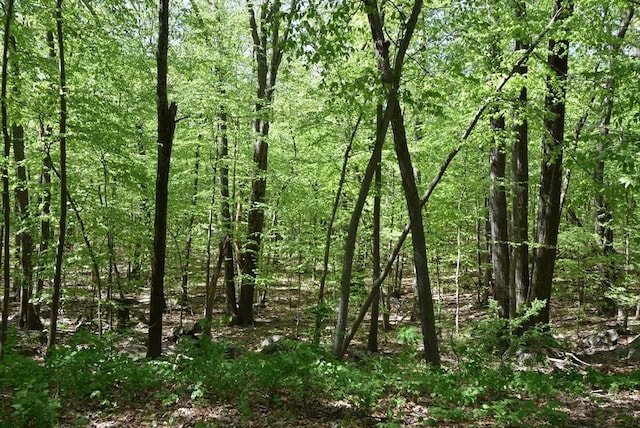view of tree filled area