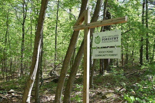 exterior view of a forest view