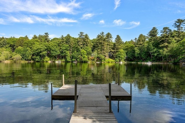 72 S Shore Dr, Sturbridge, MA 01566 - dock with a wooded view and a water view