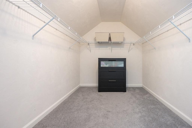 7 Willow Brook Ln, Blackstone, MA 01504 - spacious closet with vaulted ceiling and carpet