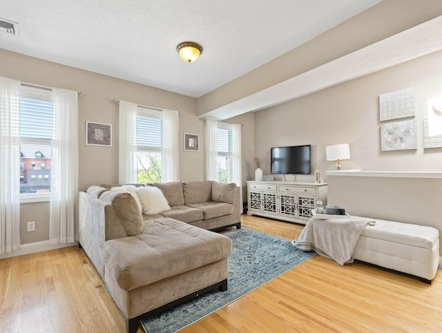 living room featuring wood-type flooring and plenty of natural light