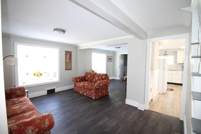 living room featuring a healthy amount of sunlight, dark hardwood / wood-style floors, and ornamental molding