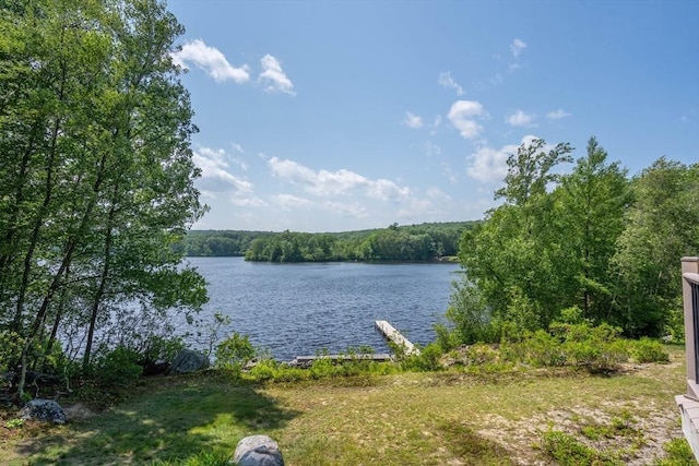 92 Wallace Ave, Auburn, MA 01501 - water view with a forest