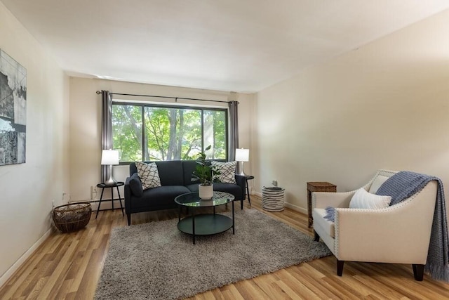 living area featuring baseboards and wood finished floors