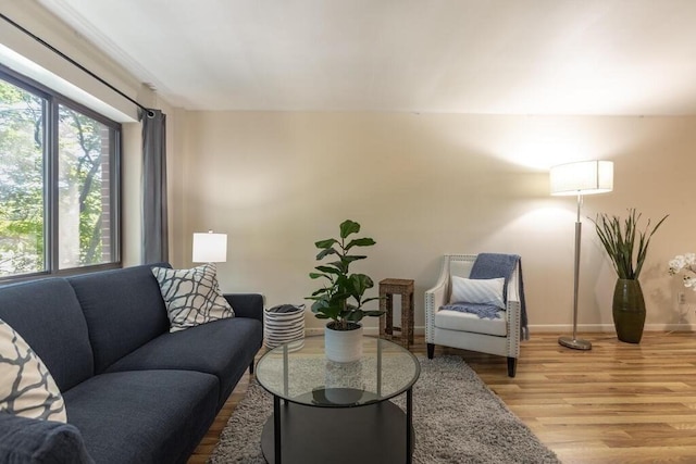 living room featuring baseboards and light wood finished floors