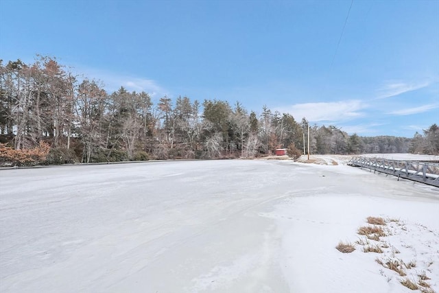 view of snowy yard