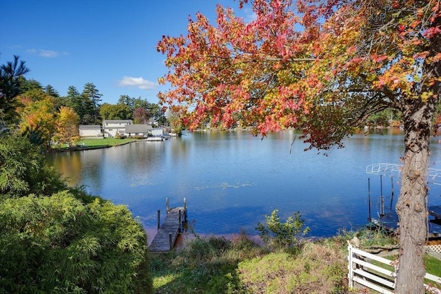 dock area with a water view