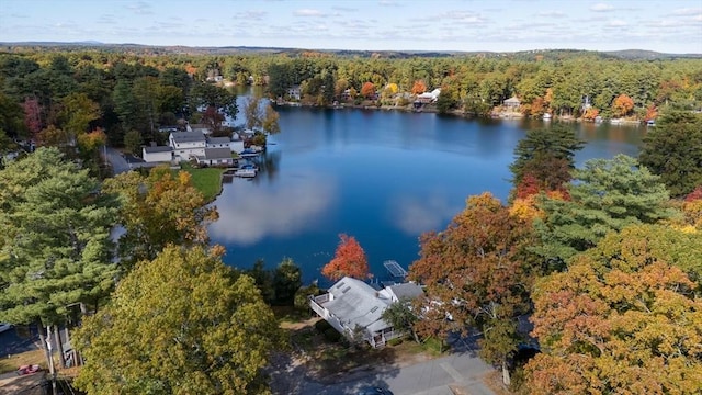 birds eye view of property featuring a water view and a wooded view