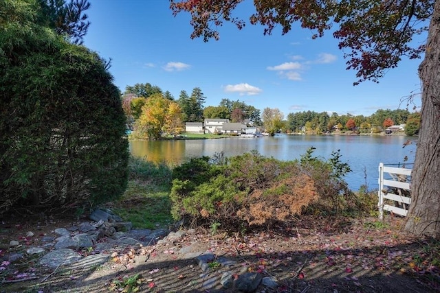 view of water feature