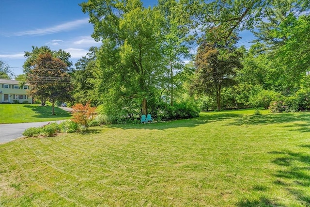 16 Vanderbelt Rd, Acton, MA 01720 - view of grassy yard