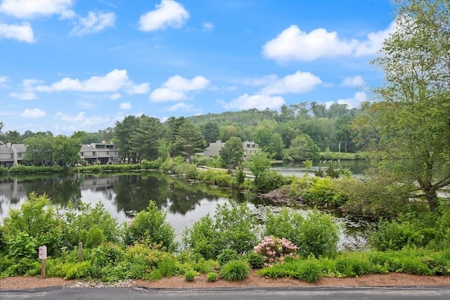 116 Mill Pond Unit 116, North Andover, MA 01845 - water view