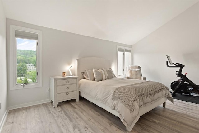 116 Mill Pond Unit 116, North Andover, MA 01845 - bedroom featuring light wood finished floors and vaulted ceiling