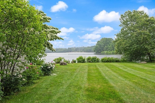 116 Mill Pond Unit 116, North Andover, MA 01845 - view of green lawn featuring a water view and a wooded view