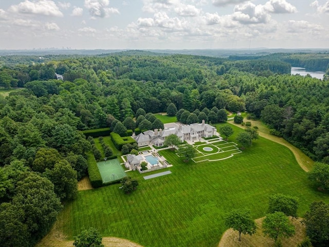 180 Ash St, Weston, MA 02493 - bird's eye view of a forest