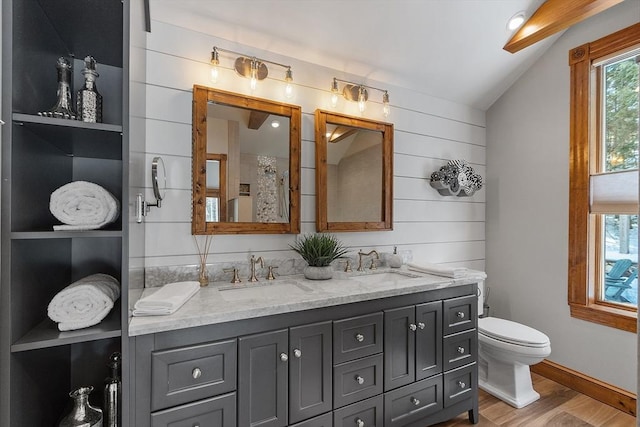 bathroom featuring double vanity, wood finished floors, a sink, and toilet