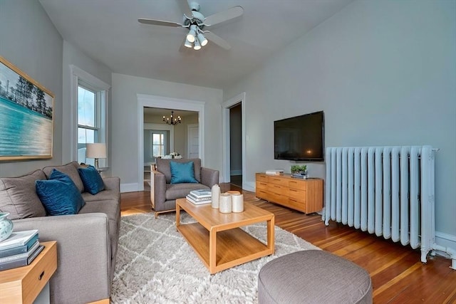 living room with hardwood / wood-style floors, ceiling fan with notable chandelier, and radiator heating unit