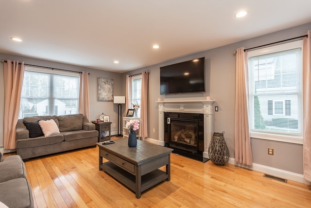 living room featuring light hardwood / wood-style flooring and a healthy amount of sunlight