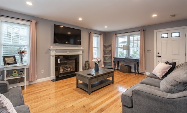 living room with light wood-type flooring and a healthy amount of sunlight