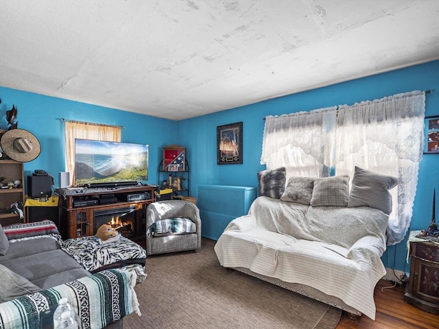 bedroom with hardwood / wood-style flooring