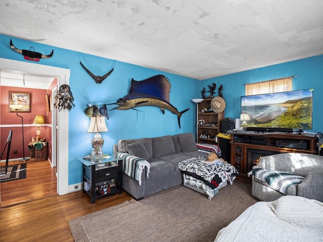 living room with hardwood / wood-style floors