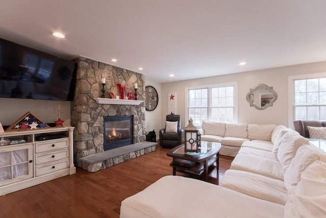 living room featuring wood-type flooring and a fireplace