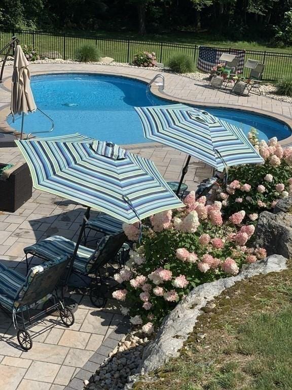 view of pool with a patio