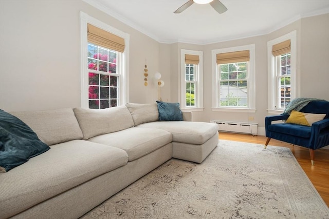 518 Washington St, Winchester, MA 01890 - living room with a baseboard radiator, crown molding, wood finished floors, and ceiling fan
