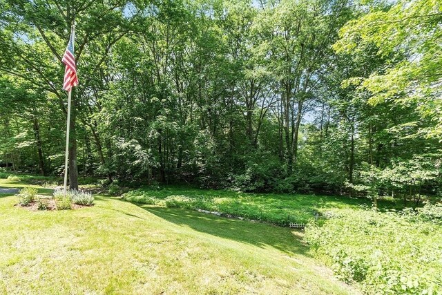 8 Turk Hollow Rd, Oxford, MA 01540 - view of yard with a forest view