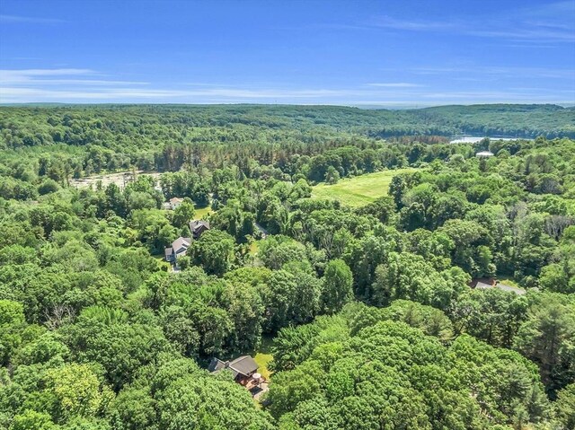 8 Turk Hollow Rd, Oxford, MA 01540 - bird's eye view featuring a forest view