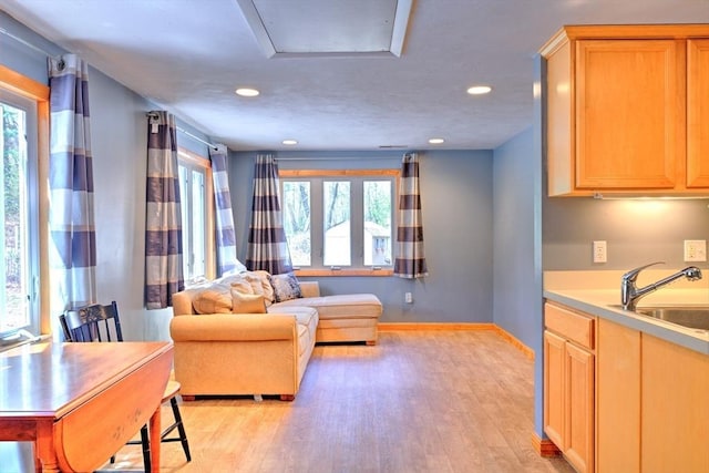 living area featuring baseboards, a healthy amount of sunlight, and light wood-style flooring